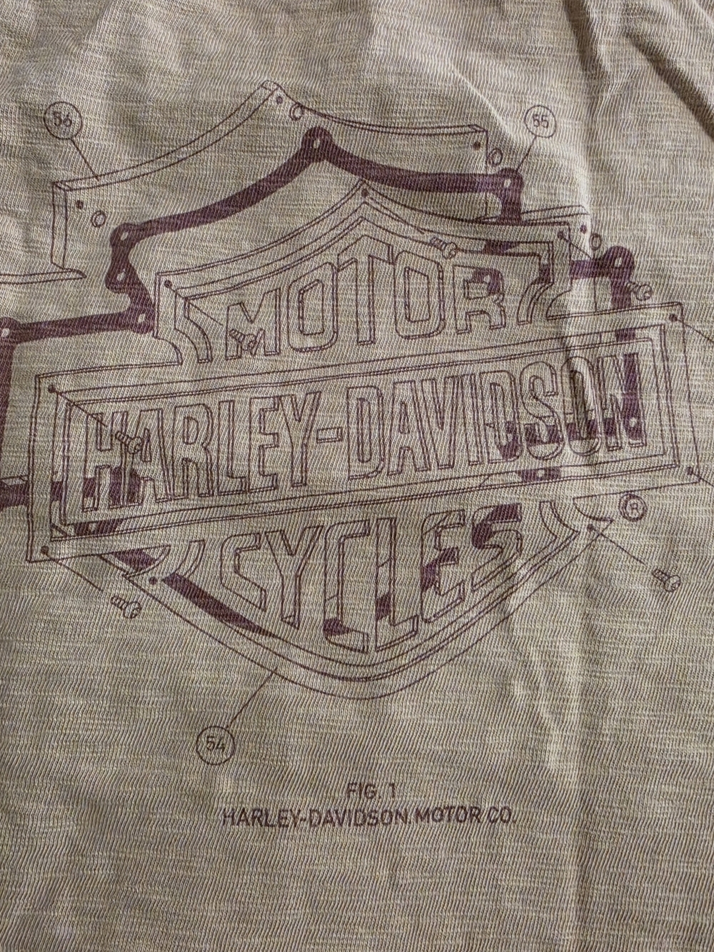 Harley-Davidson Men’s Graphic T-Shirt in Light Brown